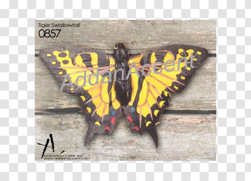 Brush-footed Butterflies Swallowtail Butterfly Eastern Tiger Black - Wing Transparent PNG