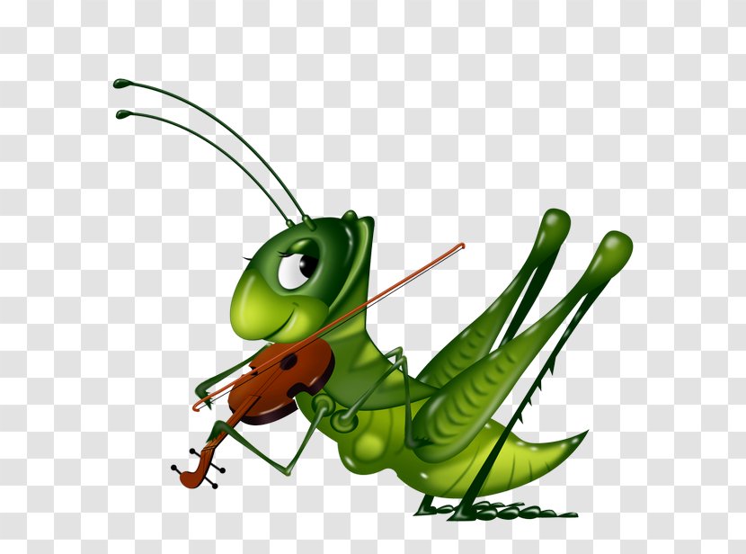 Insect Bee Drawing Clip Art - Cricket - Playing A Violin Painted Locusts Transparent PNG