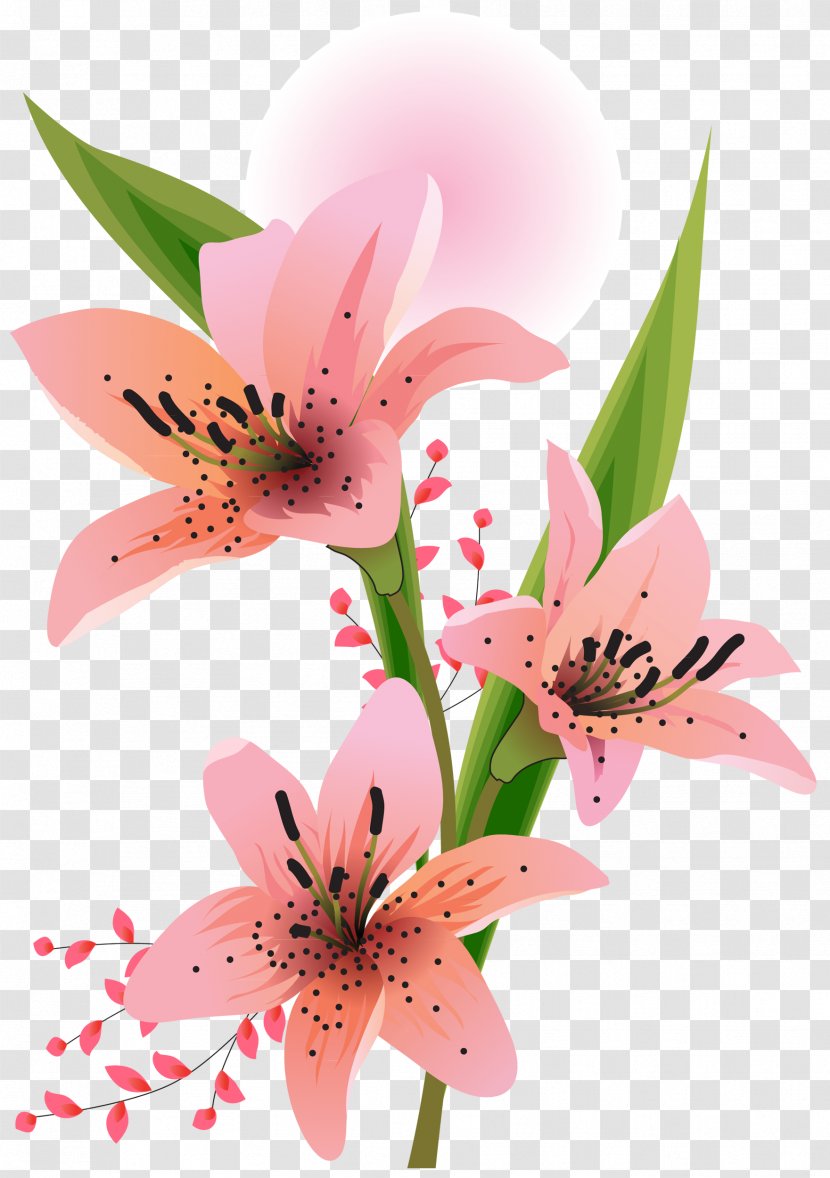 Lilium Clip Art - Lily - Flores Blancas Transparent PNG