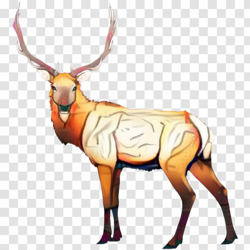 Reindeer Cartoon - Character - Fawn Kudu Transparent PNG