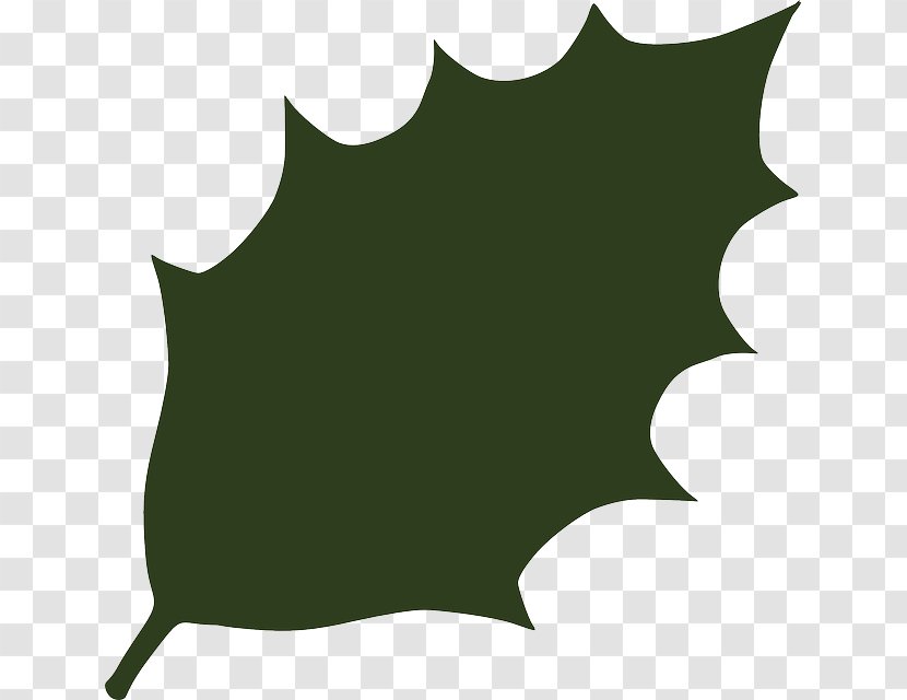 Leaf Green Clip Art - Vegetable - Greenery Transparent PNG