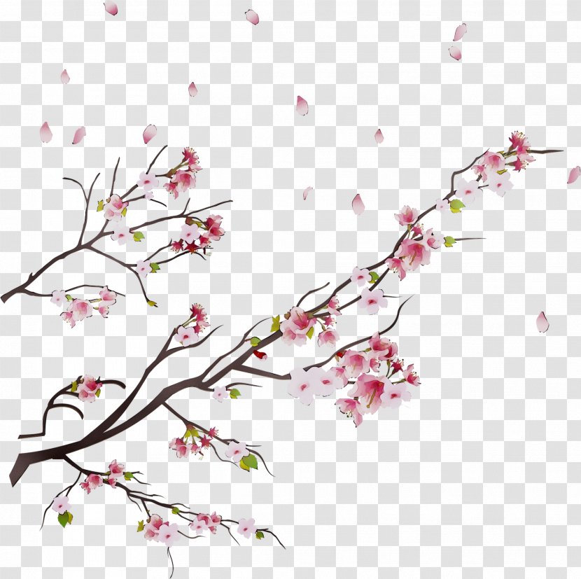 Cherry Blossom Vector Graphics Design ST.AU.150 MIN.V.UNC.NR AD - Petal - Spring Transparent PNG