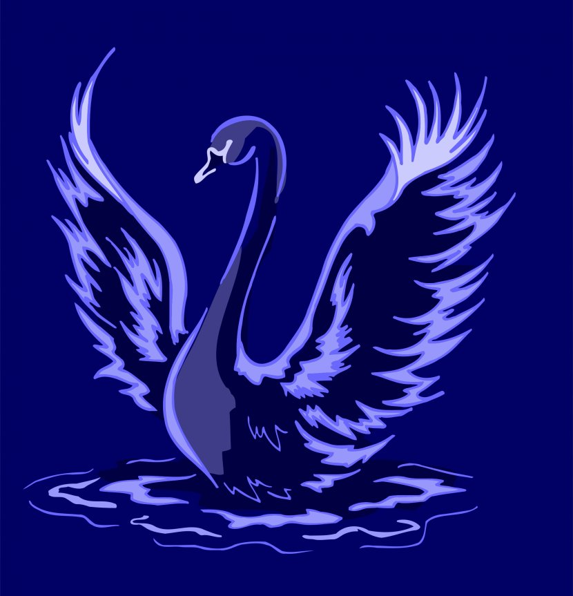 Bird Cygnini Clip Art - Extinction - Swan Transparent PNG