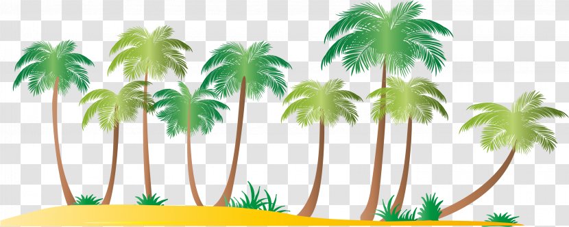 Arecaceae Ko Samui Coconut Beach - Arecales Transparent PNG