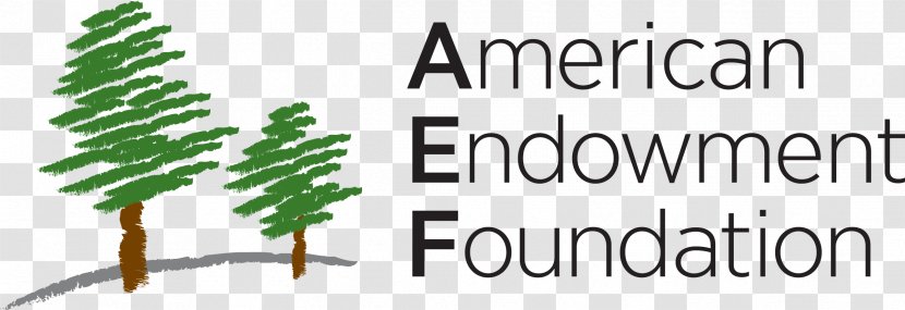 Logo The American Endowment Foundation Font Tree Brand - Financial - Grass Transparent PNG