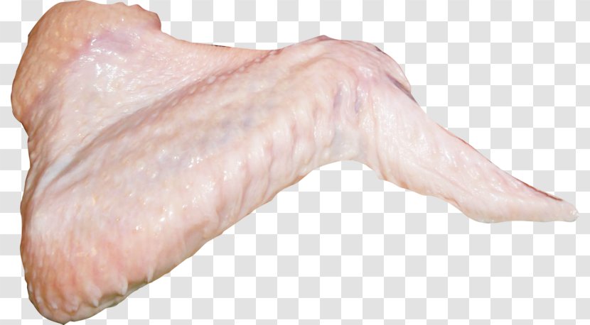 Fish Turkey Meat Chicken As Food - Tree - Raw Transparent PNG