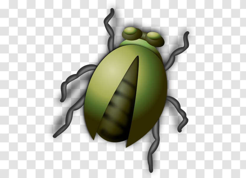 Insect Clip Art - Beetle - Bug Transparent PNG