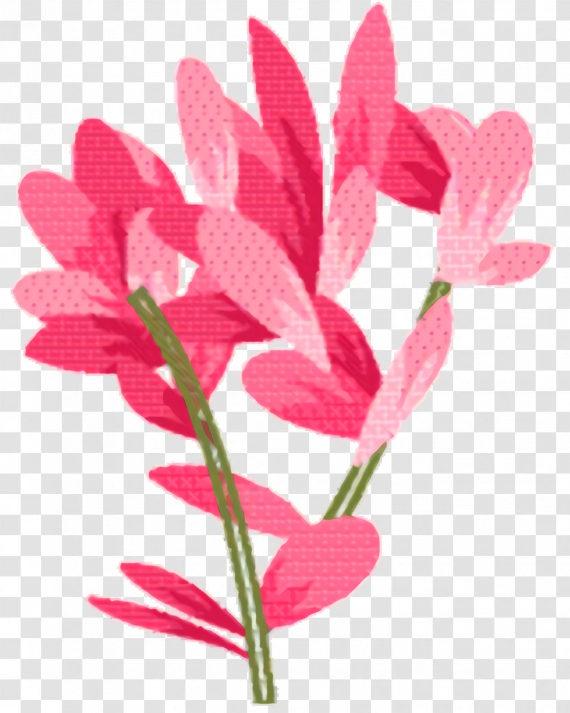 Pink Flower Cartoon - Plant - Pedicel Transparent PNG