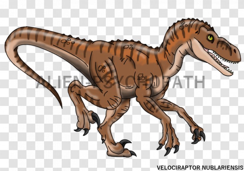 Velociraptor Tyrannosaurus Simon Masrani Jurassic Park Triceratops - Animal Figure - Vector Transparent PNG