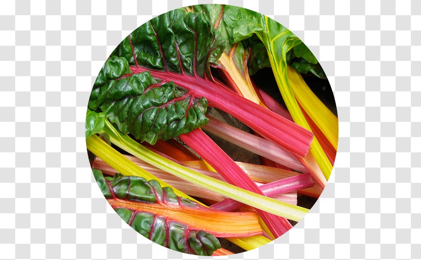 Chard Common Beet Heirloom Plant Vegetable Garden Rhubarb Transparent PNG