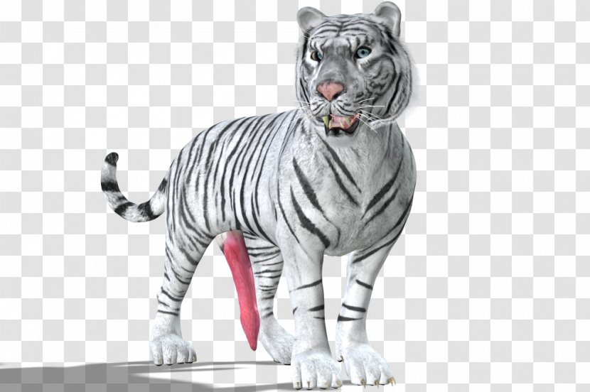 White Tiger Big Cat Whiskers - Like Mammal Transparent PNG