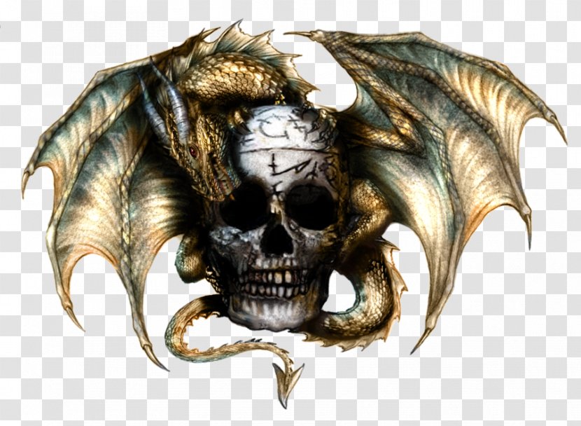 Dragon Skull - Fictional Character Transparent PNG