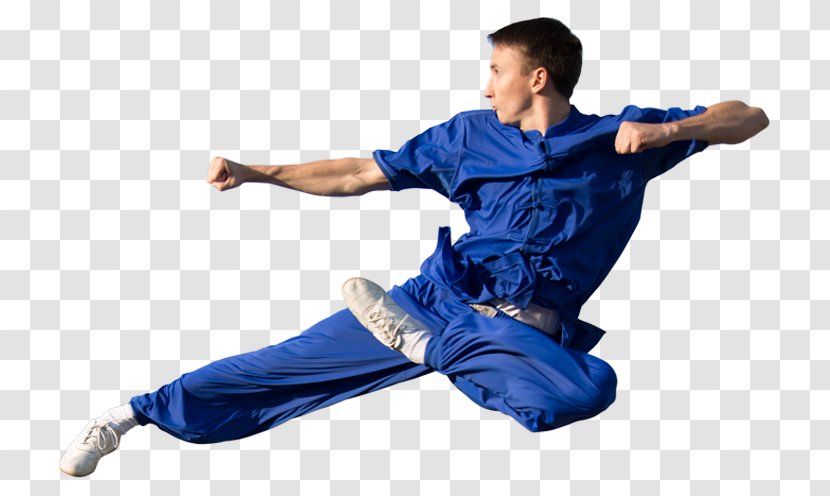 Wushu Taolu Sanshou Tai Chi Martial Arts - Sport Transparent PNG