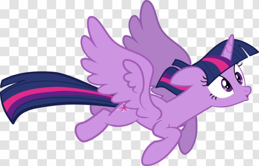 My Little Pony Twilight Sparkle Rainbow Dash Princess Cadance - Frame Transparent PNG