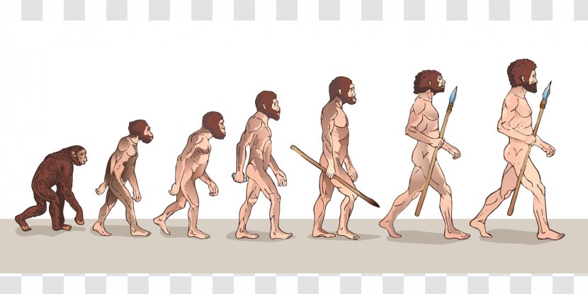 Neanderthal Human Evolution The Of Man - Watercolor - Archaic Humans Transparent PNG