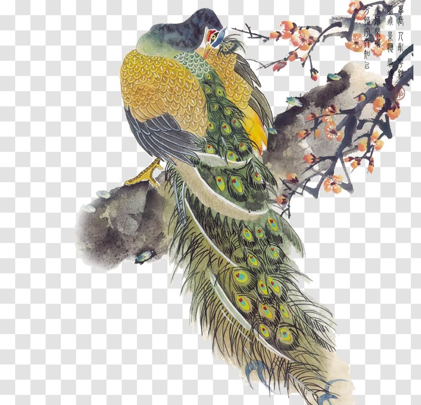 Asiatic Peafowl Bird Painting Feather - Common Pet Parakeet - Peacock Transparent PNG