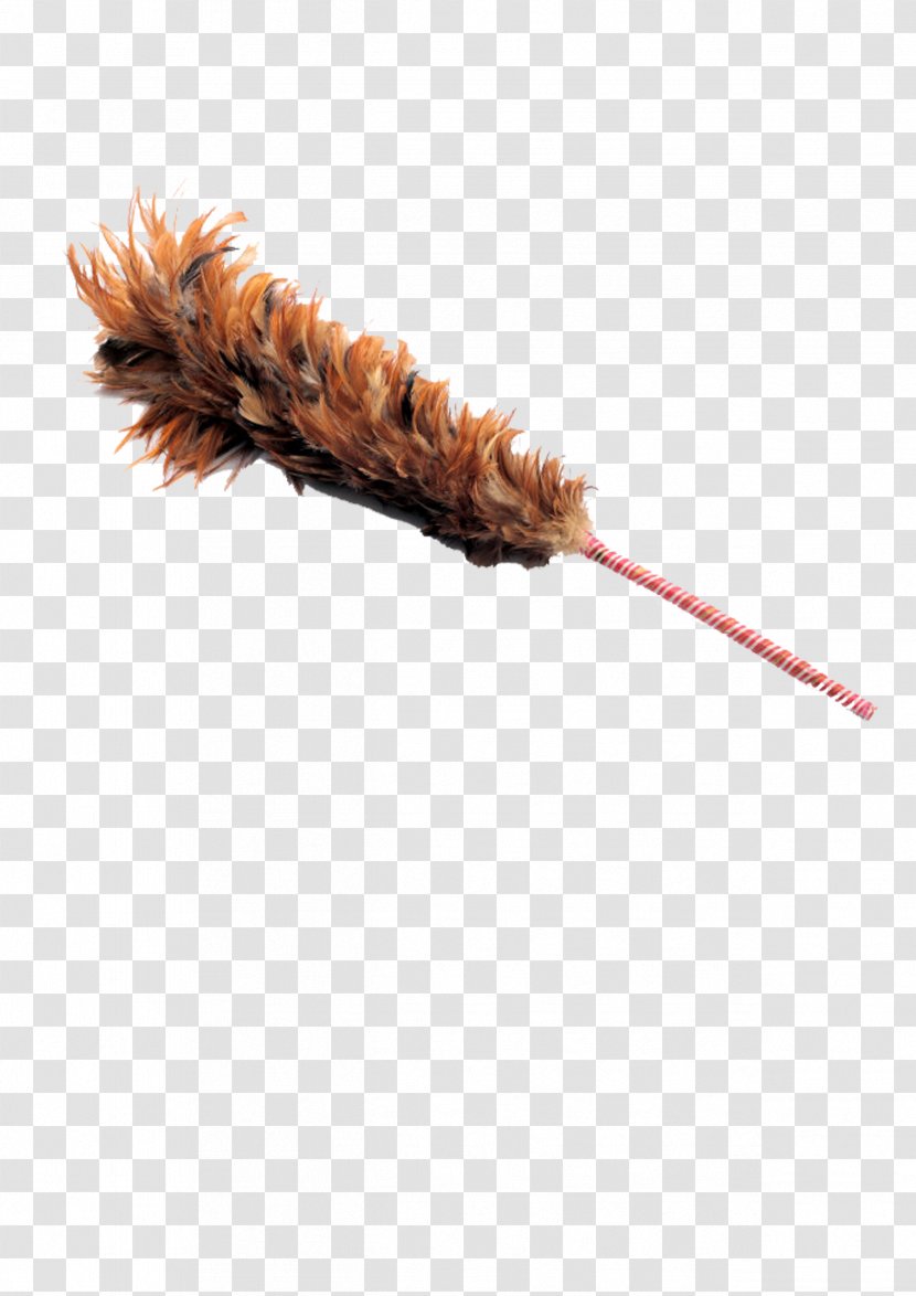 Feather Duster Cleaning - Dust Transparent PNG