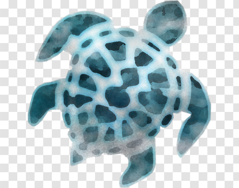Sea Turtles Turtles Tortoise M Turquoise Sea Transparent PNG
