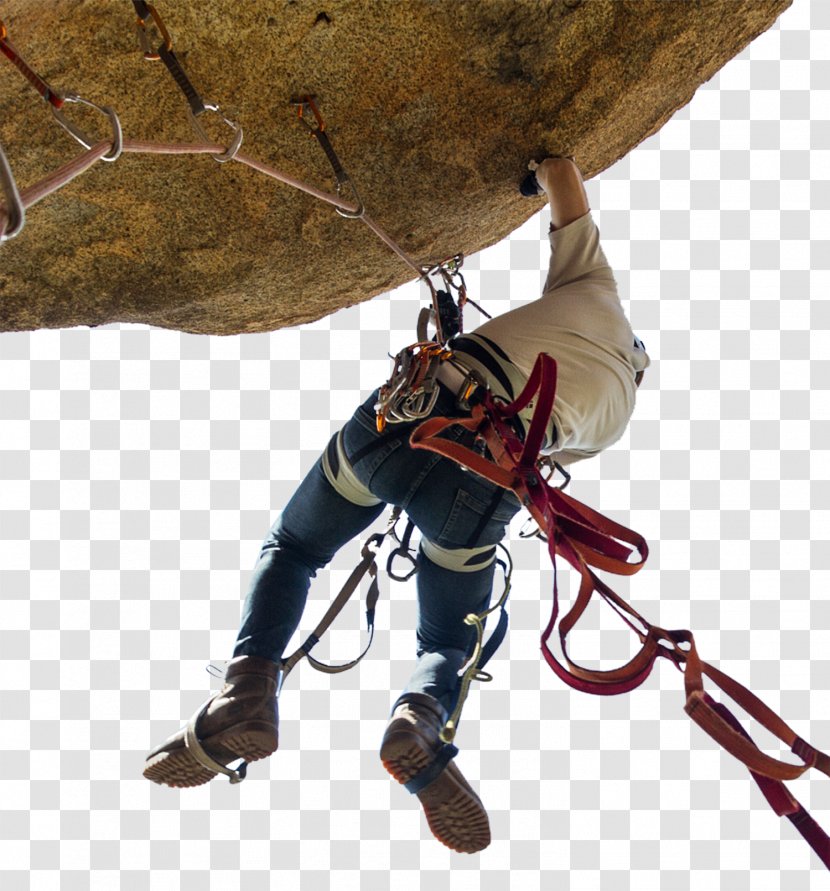 Sport Climbing Free Harness Aid - Rock - Dangerous Transparent PNG