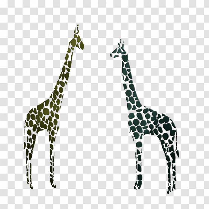 Northern Giraffe - Mammal - Spots Transparent PNG