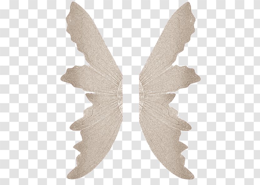 Adobe Photoshop Photography Image Fairy - Moths And Butterflies - Coser Transparent PNG