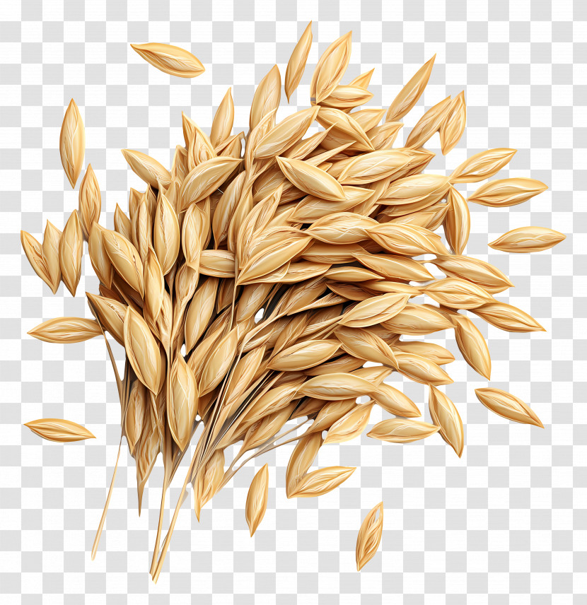 Saffola Oats - Bundle Of Grains Transparent PNG