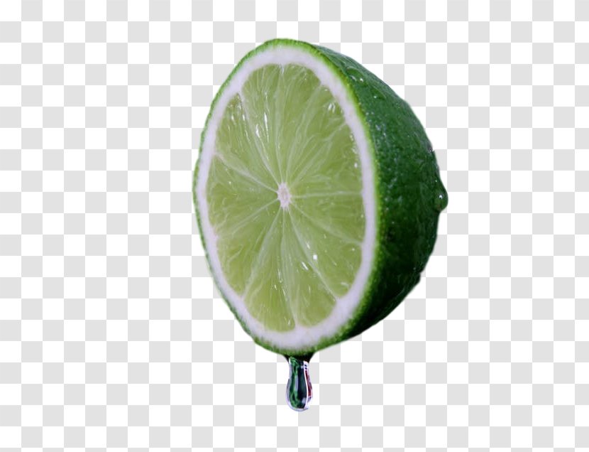 Lemon-lime Drink Key Lime Persian - Green - Juice Transparent PNG