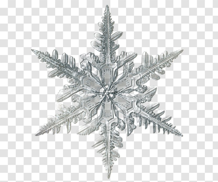 Snowflake Microscope Ice Crystal - Christmas Transparent PNG