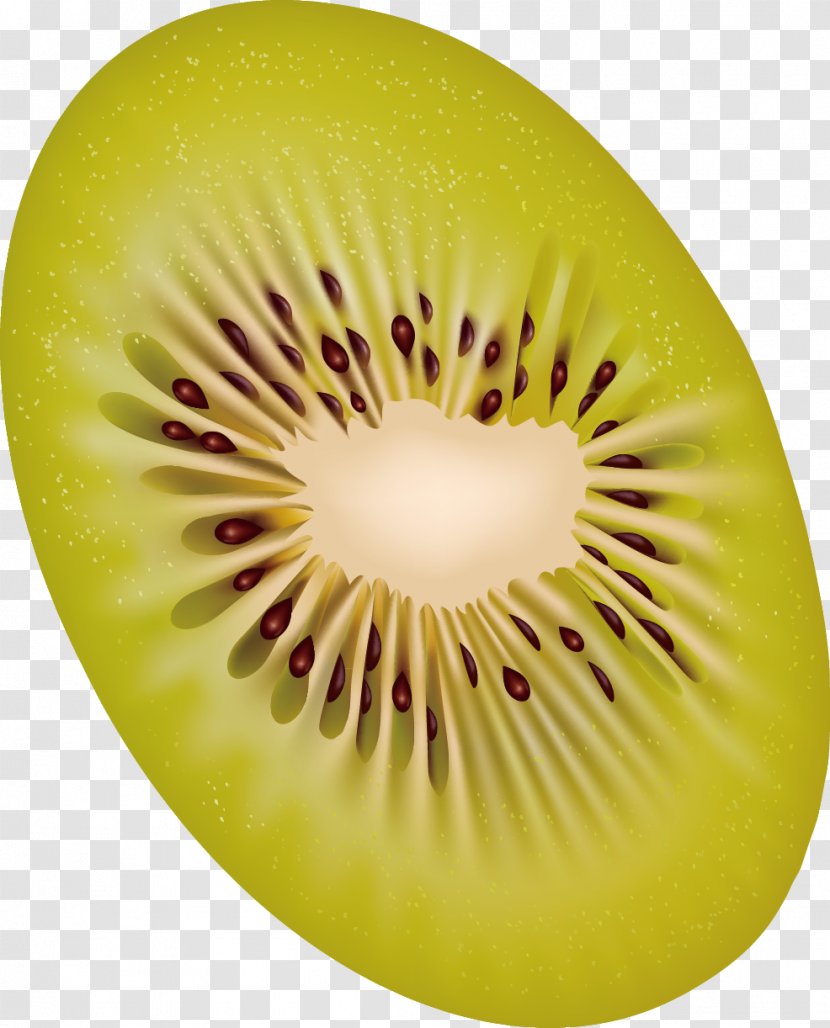 Kiwifruit Clip Art - Stockxchng - Decorative Design Of Fruit Slices Transparent PNG