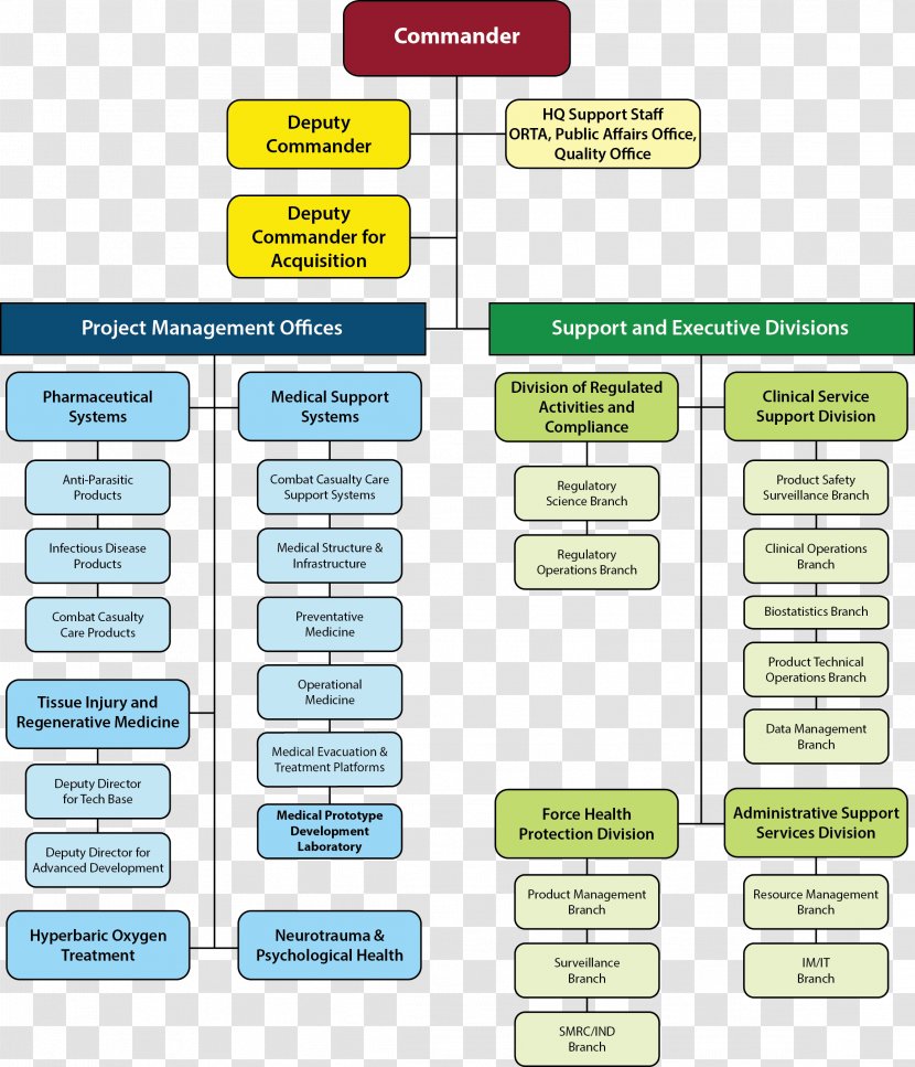 Organizational Chart Diagram Division - Organization - Military Transparent PNG