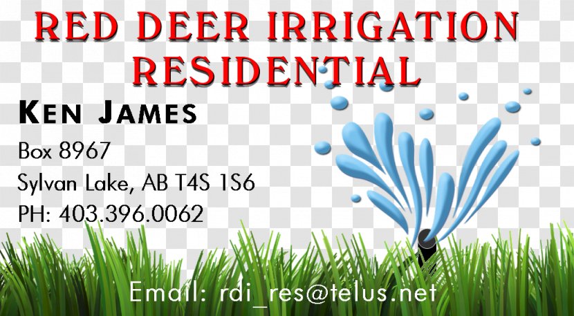 Lawn Energy Graphics Grasses Line - Red Business Card Transparent PNG