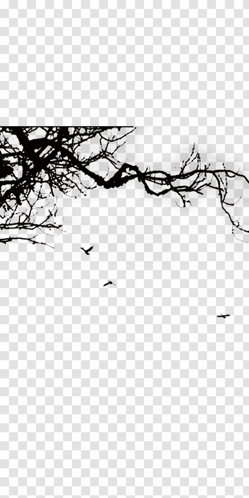Autumn In The Trees - Monochrome Photography - Tree Transparent PNG
