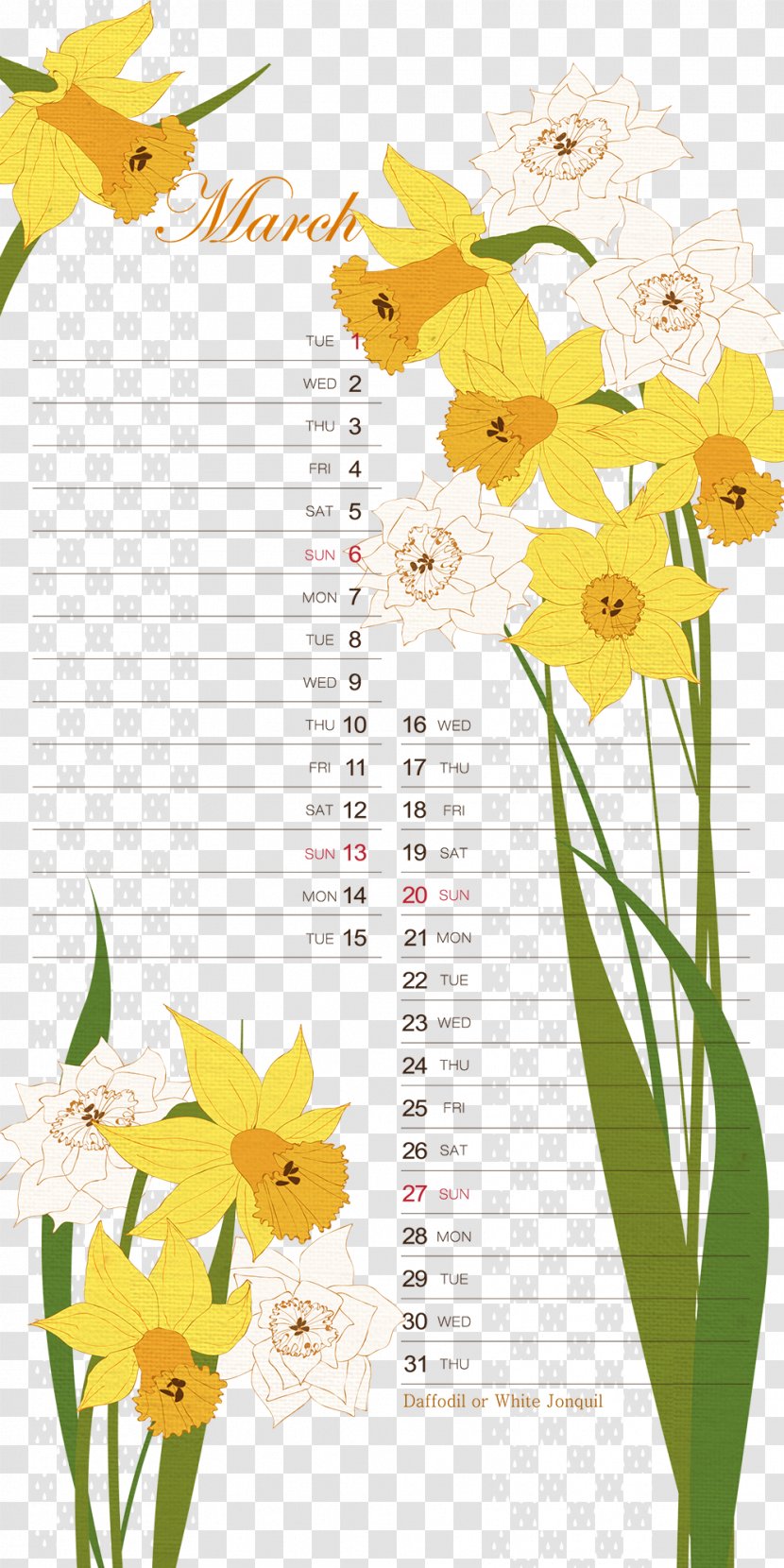 Calendar Flower Illustration - Craft - March Background Pattern Template Transparent PNG