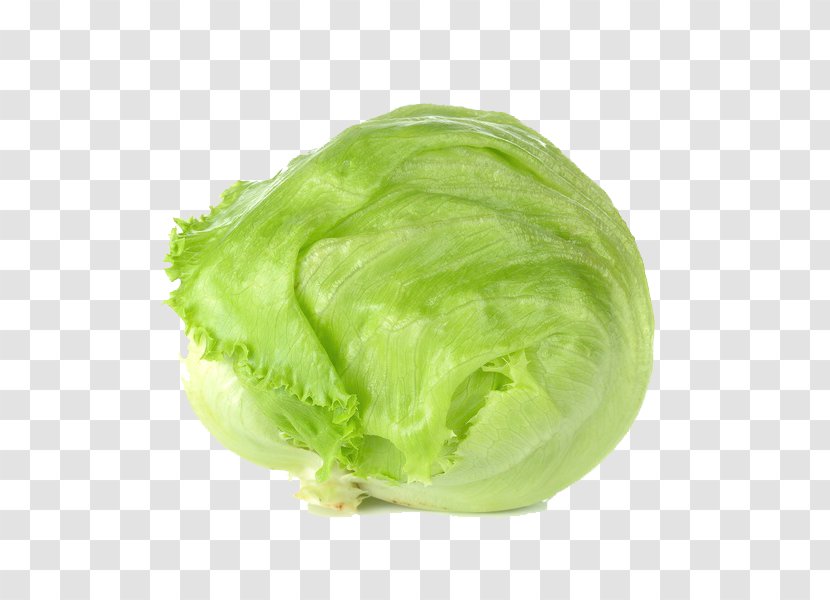 Leaf Vegetable Iceberg Lettuce Food - Parsley Transparent PNG