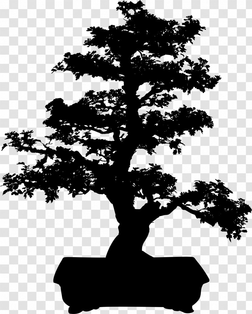 Bonsai Tree Clip Art - Monochrome Photography Transparent PNG