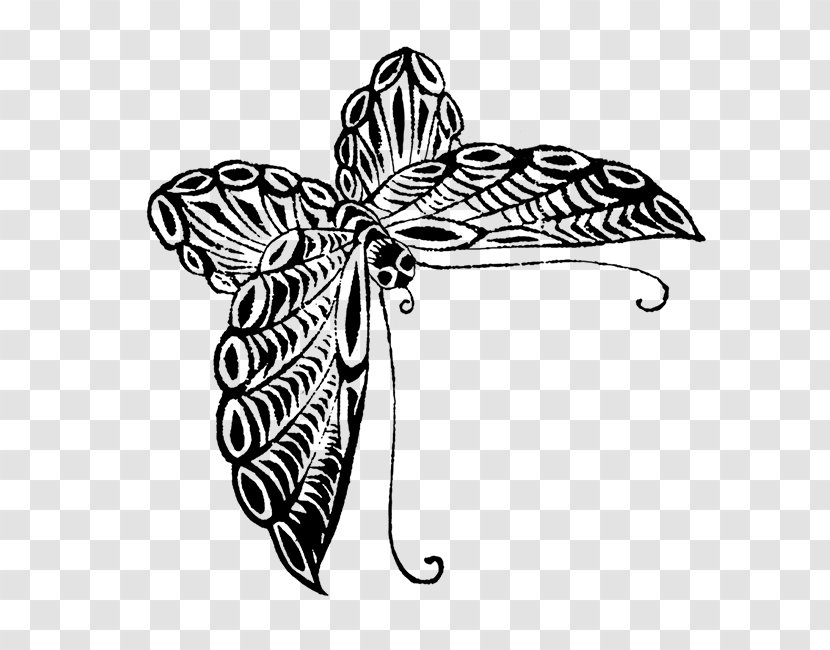 Butterfly Drawing Black And White Visual Arts Sketch - Wing Transparent PNG
