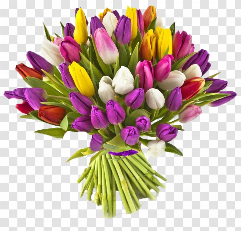 Flower Cut Flowers Plant Tulip Flowering - Floristry - Crocus Transparent PNG