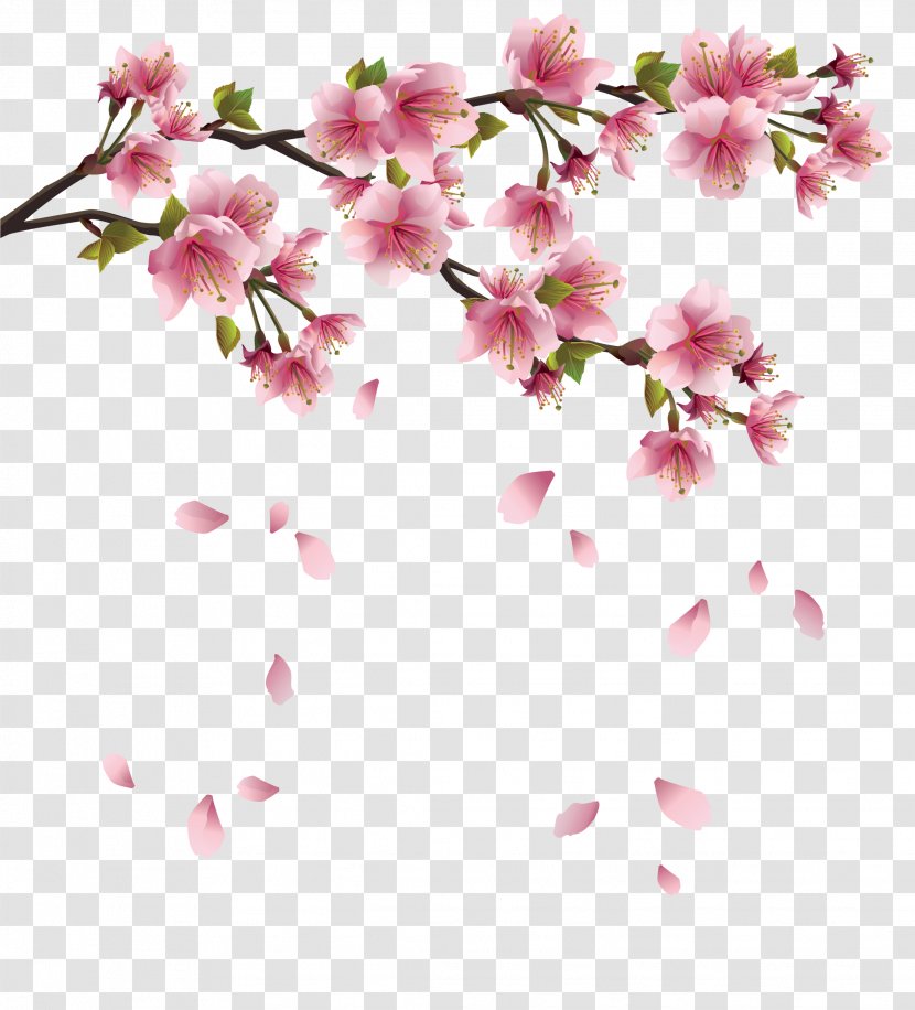 Flower Branch Cherry Blossom Clip Art - Peach Petals Fall Transparent PNG