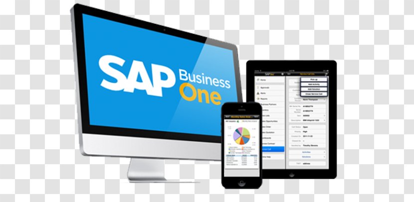 SAP Business One Enterprise Resource Planning SE Management - Organization Transparent PNG