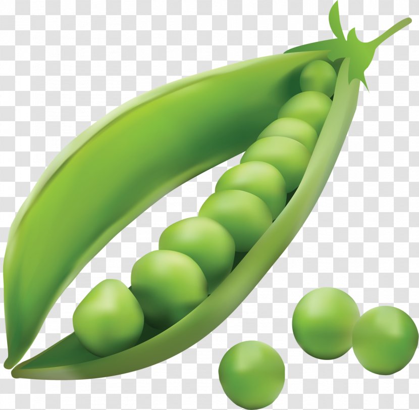 Vegetable Legume Pea Fruit - Snap Transparent PNG