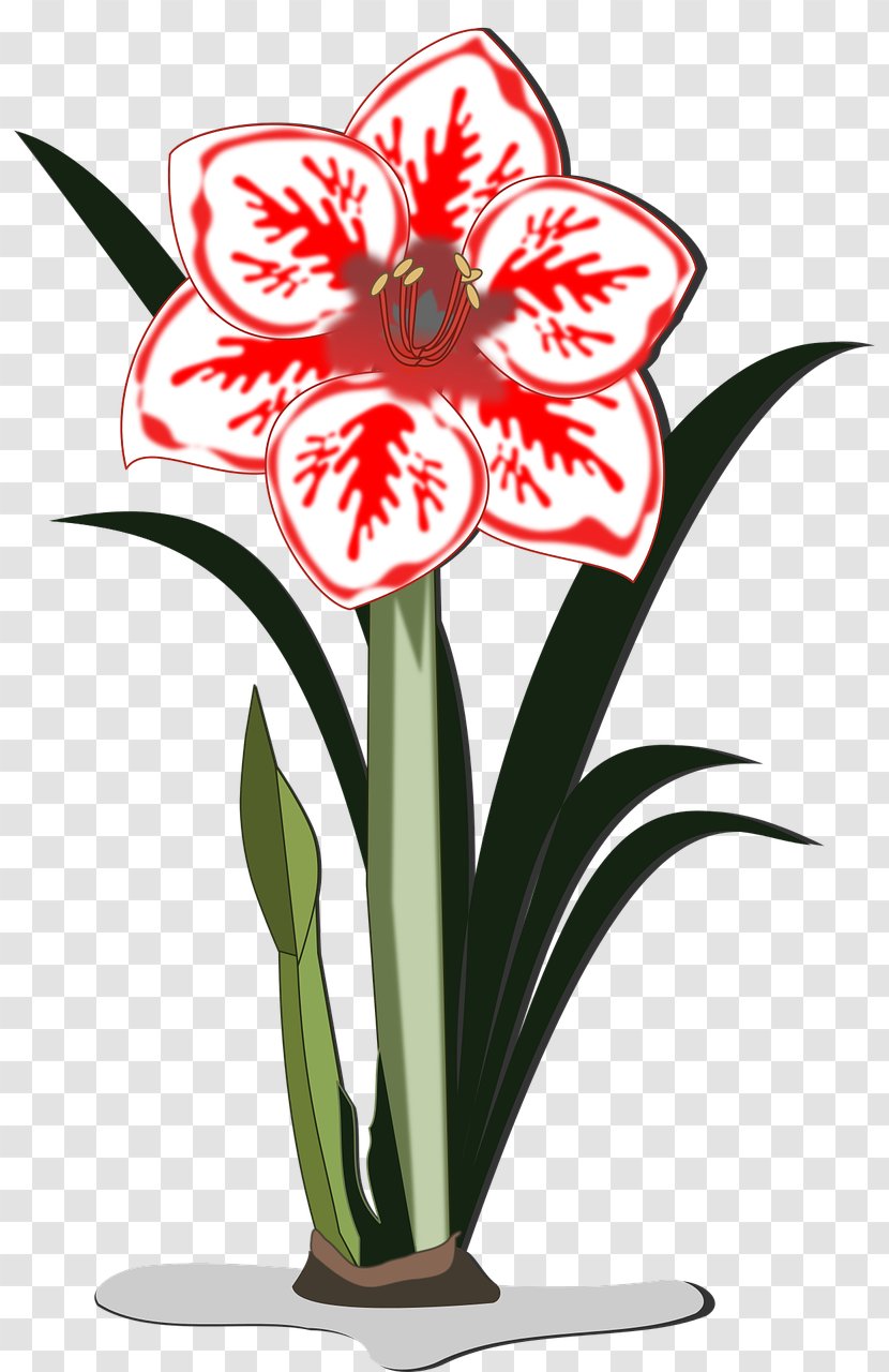 Floral Design Amaryllis Jersey Lily Cut Flowers Flowerpot Transparent PNG