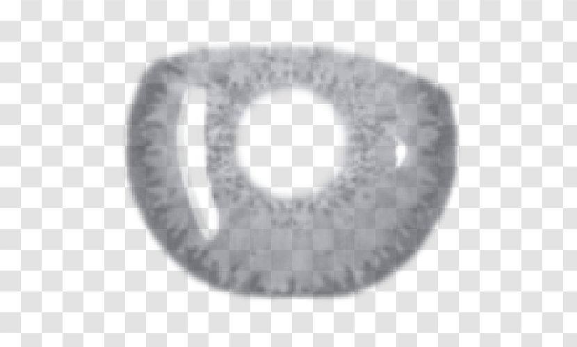 Eye Circle Grey Transparent PNG