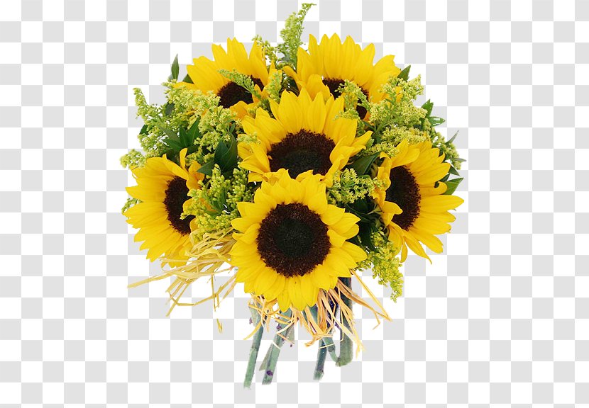 Common Sunflower Floristry Cut Flowers Daisy Family - Plant - Flower Transparent PNG