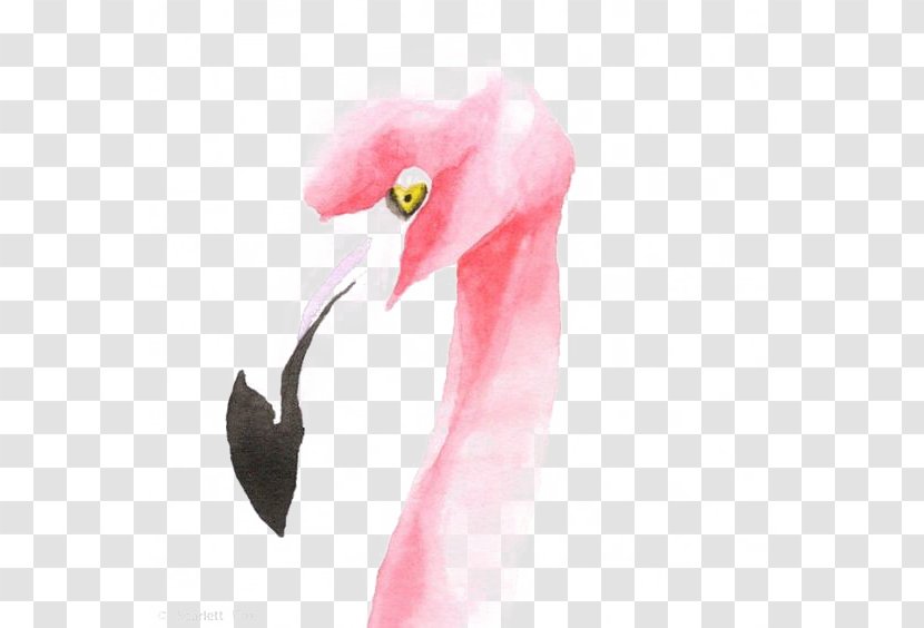 Flamingo Drawing Watercolor Painting Illustration - Photography - Flamingos Transparent PNG
