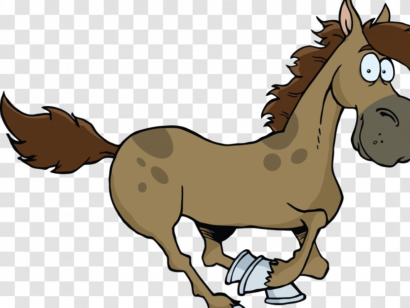 Pony Foal Drawing Mustang Mule - Horse Transparent PNG