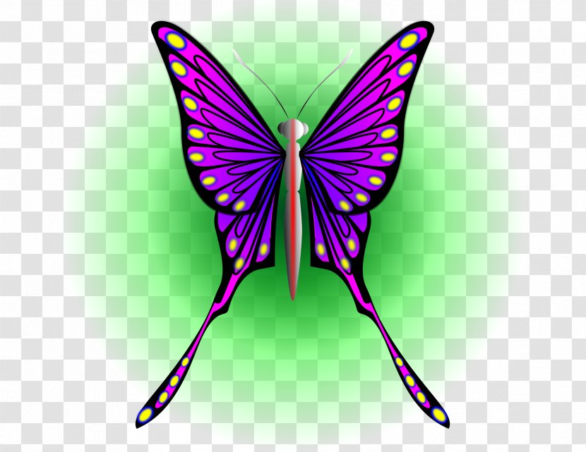 Butterfly Insect Moth Clip Art - Butterflies And Moths - Purple Transparent PNG