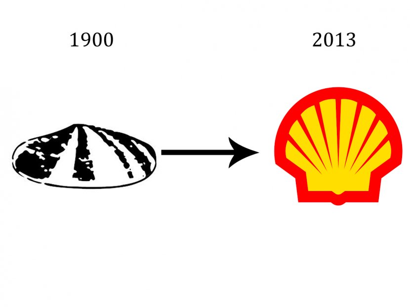 Logo Corporate Branding Business Company - Shell Transparent PNG
