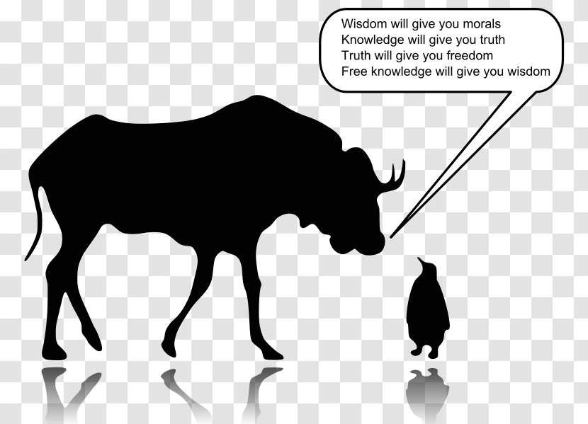 GNU/Linux Naming Controversy Free Software Desktop Wallpaper - Fedora - Linux Transparent PNG