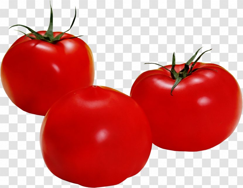 Tomato Cartoon - Watercolor - Vegetarian Food Local Transparent PNG