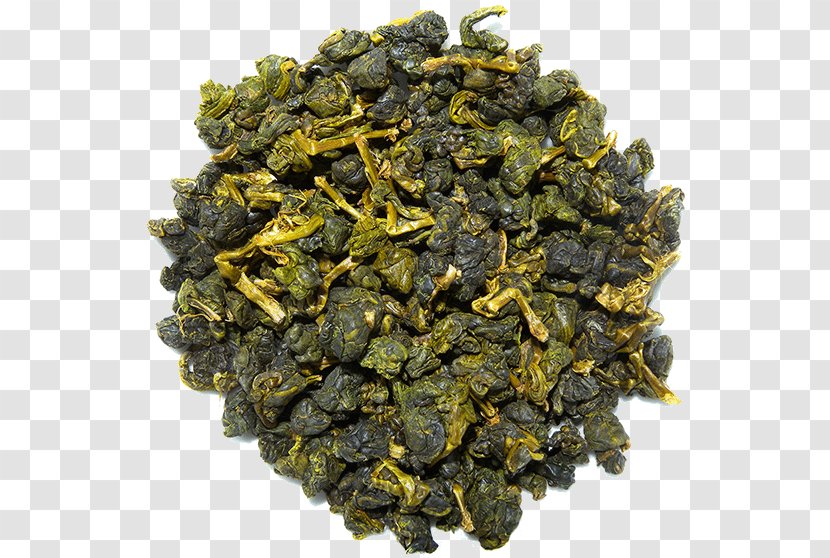 Tieguanyin Oolong Nilgiri Tea Gunpowder Transparent PNG